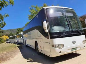 MELBOURNE ABC TOURS BUSES